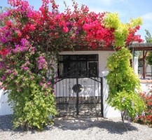 Dalyan villa rental front of cottage