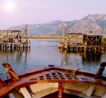 Dalyan Wetlands by Boat